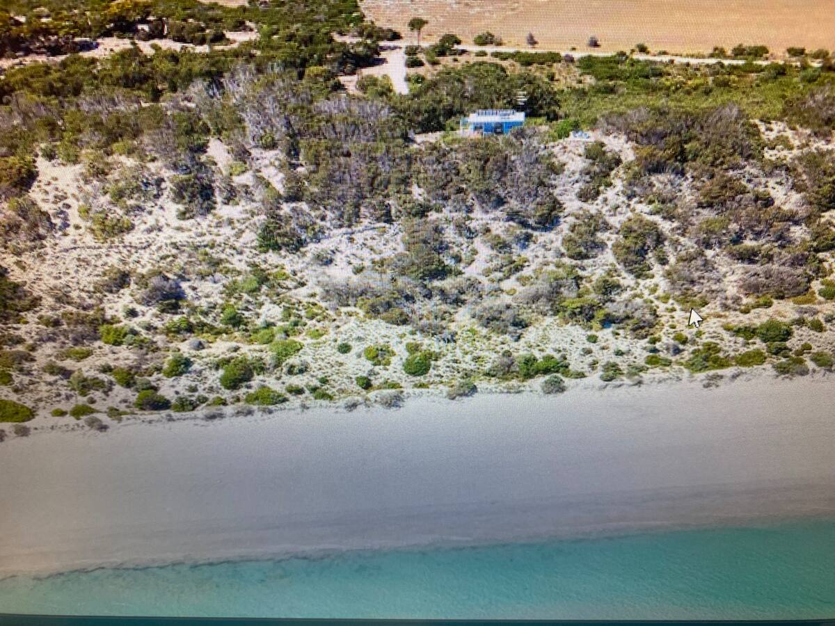 Dune Escape Beach Tranquility